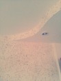/album/dogal-tas/a1796542-10203306279843800-7971991273757448516-n-1-jpg/